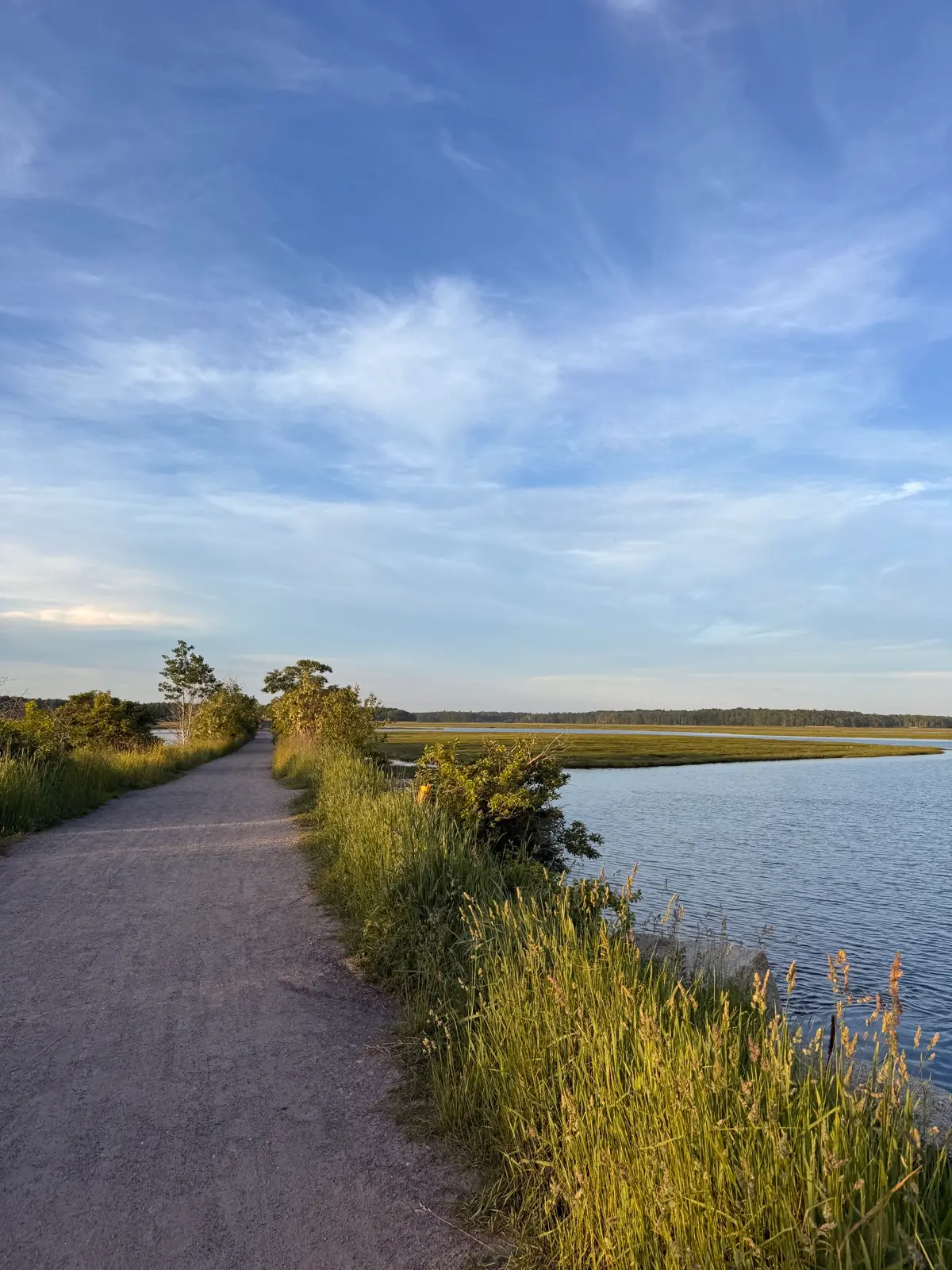A causeway road running out over a golden marsh