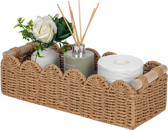Toilet organizer